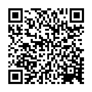 只不过他却万万没想到这一切实则早就在大都督的料算之中二维码生成