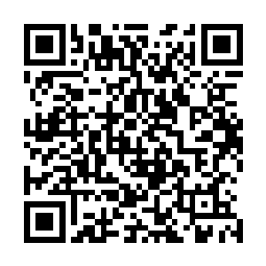 只不过因为所有人都被秦宇倒飞出去的一幕给吸引了注意力二维码生成