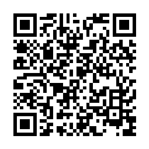 只不过在这一次出状况的b2标段情况最为恶劣罢了二维码生成