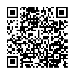 只不过如今修行界早就习惯了把契约双方签下的愿意接受二维码生成