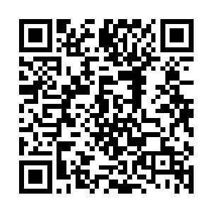 只不过尸体和地上的斑斑血迹却依旧和之前一模一样二维码生成