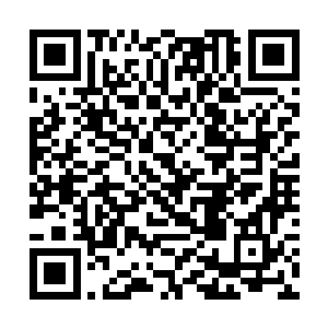 只不过是为他的保护行动找了一个很光明正大的借口二维码生成