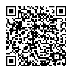 只不过是格力斯想到那天黛娜老师的课上被张铁打断了自己表现的机会有些不爽二维码生成