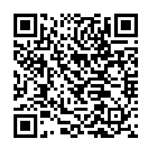 只不过李阿文可以确定的确是有什么东西在周围活动二维码生成