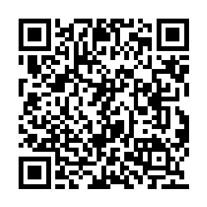 只不过杨开如今在化身巨龙时没有动用过苍龙枪二维码生成