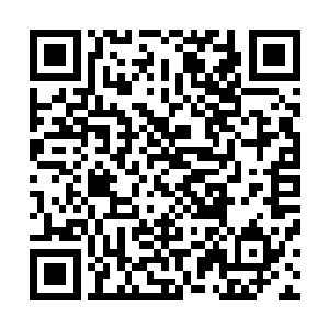 只不过现在狄丽雅的服份被她抽出过两次加上几次融资之后二维码生成