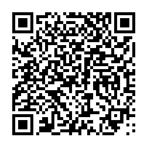 只不过这么久了从未人一次得到了八种圣液叶楚是第一人也将是最后一人二维码生成