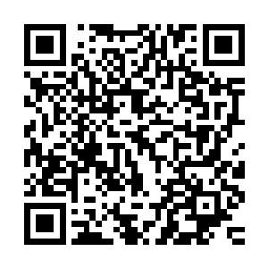 只会让我们的政府和老百姓都能意识到法律高于一切的这个理念二维码生成
