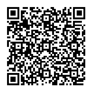 只剩下一个勉强有着凹陷和凸起的脸型的光头巫师正在一片黑色的树林里面不断穿行着二维码生成