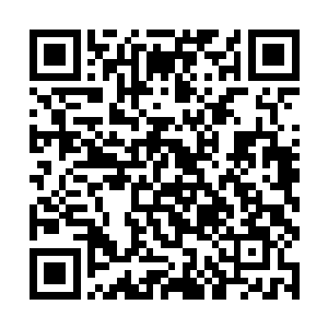 只单纯用刀法剑法给众人奉献了一场十分精彩的比斗二维码生成