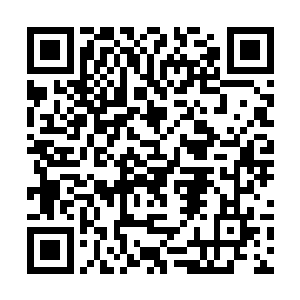 只听到世子爷漂亮如玉的手指轻轻滑动白瓷杯的声音二维码生成