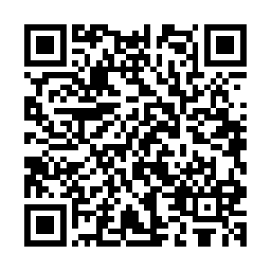 只听秦风的语气就能明白这绝对不是第一次也不会是最后一次二维码生成