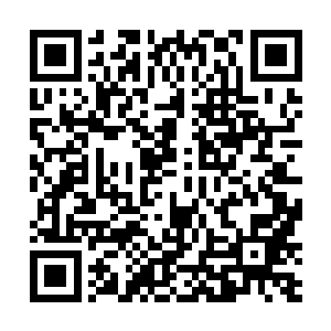 只因为能够代表着明珠黑暗势力的君家已经彻底的消失二维码生成