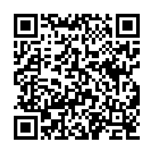 只怕今日在燕掌门和孔师祖的相救下我侥幸偷生二维码生成