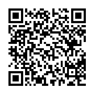 只怕会打草惊蛇……反而令到鸟儿当真不会回来了……二维码生成