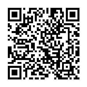 只怕光凭楚旬几个人还真难在无损的情况下解决这个小家伙二维码生成