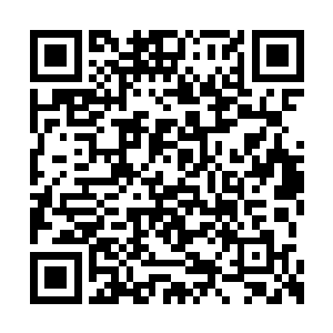 只怕战傅神的攻击力早已经达到圣域小圆满境界二维码生成