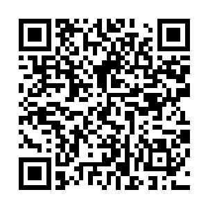 只怕是有些人早就已经打起了什么什么旗号要反抗阮英秀了二维码生成