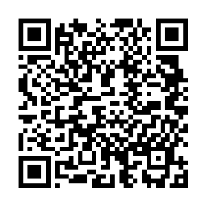只怕现在他们小队在基地里都不会过的比其他普通人好二维码生成