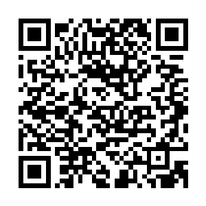 只想着一会儿芳华姐姐来了会不会伤心难受被打击更加病气重了二维码生成