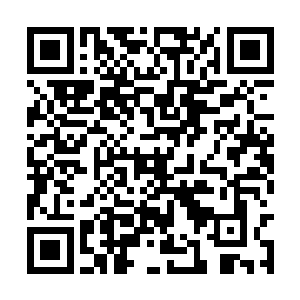 只找到了一块过完年回京城时叶凝给我买的一块表二维码生成