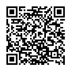 只是一个德约为了确认大伊万的死活也肯出上一个亿二维码生成