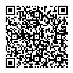 只是不知道梁之洞和火舞等人如果知道了许紫烟已经扣下了三十万颗丹药会是一个什么表情二维码生成