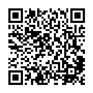 只是为了发一通脾气――就让我们当作刚才的事没有发生吧二维码生成