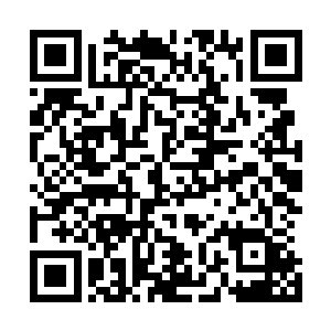 只是之前看到大师能够在海底不用潜水装备就能在水下行走二维码生成