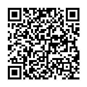 只是他的弟弟一直病弱所以他并没有丢下自己的弟弟离开二维码生成