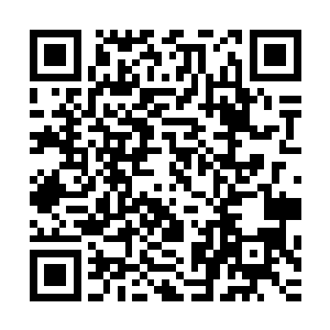 只是凭着十一种属性融合的剑世界就能够和他们两个不差上下二维码生成