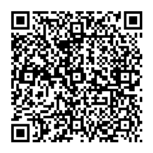 只是出于对红巾盗的厌恶和作为一个享受了黑炎城八年义务教育福利的一个普通人对这座城市的义务二维码生成