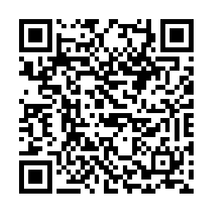 只是在挽风界主给我的道器里挑了几件适合他们的二维码生成