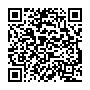 只是它们以前也被与凯撒差不多的狼群袭击过很多次二维码生成