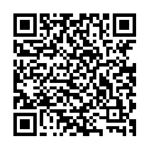 只是对于突如其来的战友二字……终有些沉甸甸的的实在份量二维码生成