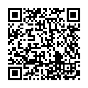只是怕是在消除任何可能被抓到的证据和线索呢二维码生成
