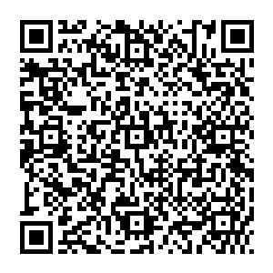 只是想要让他下半辈子都像一个废人一样的生活着……但是共济会的那些人的凶残程度却是让秦方都刮目相看的二维码生成