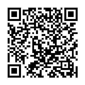 只是我去日本渡假的时候去过新井的店里吃过几次寿司二维码生成