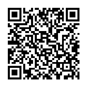 只是我想娘子给我生母磕过头敬过茶才一定要找回来二维码生成