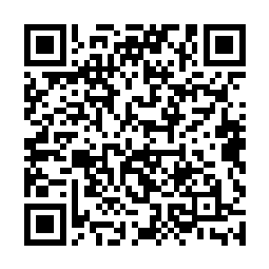 只是我没有想到经济使会使出这一招置之死地而后生二维码生成