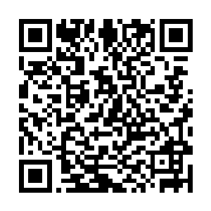 只是把一些破衣服和文件装了一个皮箱就可以搬家了二维码生成