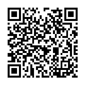 只是敢利用自己的阿墨的人这个世界还没有出生呢二维码生成