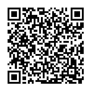 只是本能的已经不愿再去那些曾经与同伴们欢声笑语的游荡过的每一个角落继续二维码生成
