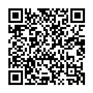 只是林风雪这蠢物很显然是不知道秦宇在诸天百界的名声二维码生成