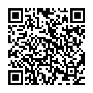 只是王美兰……说实话林小乖一点也不想她出现在自己的婚礼上二维码生成