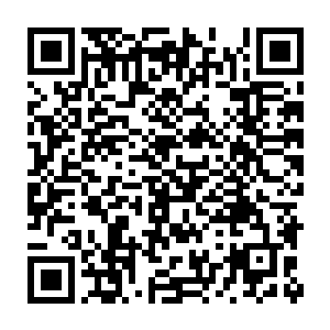 只是留下百个战兵和几个武士看住这些疼得满地打滚的一千凌家常备军二维码生成