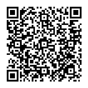 只是短短一个呼吸 两人似乎就已近在咫尺 她轻飘飘的抬起手 脚步在虚空连踏二维码生成