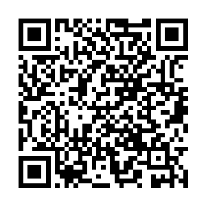 只是让秦宇被人们称为玄学界百年难得一现的天才二维码生成