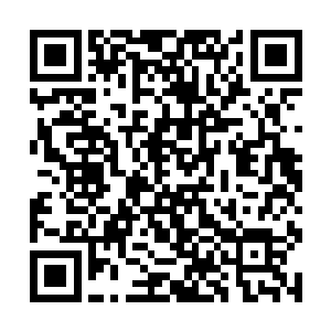 只是让马文将自己所掌握的杀人技巧全部演练了一遍二维码生成