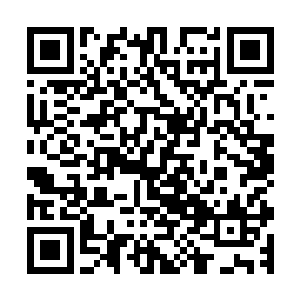 只是诡谲的是他们都觉得这些血针让他们有种似曾相似的感觉二维码生成